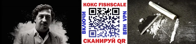КОКАИН Fish Scale  Купить закладки  Далматово 