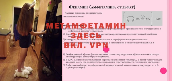 хмурый Верея