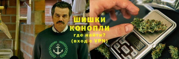прущие грибы Верхнеуральск