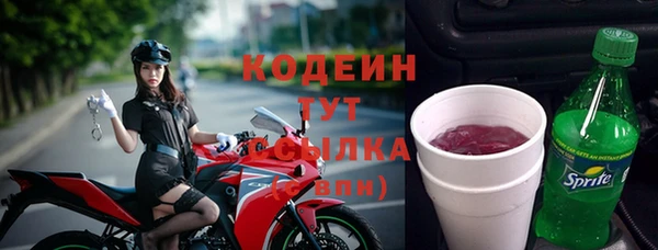 хмурый Верея
