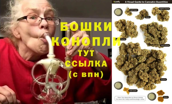 прущие грибы Верхний Тагил