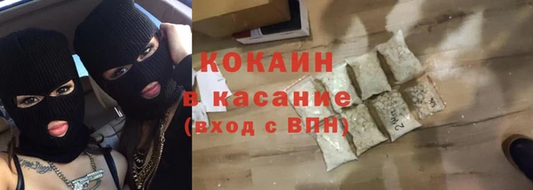 хмурый Верея