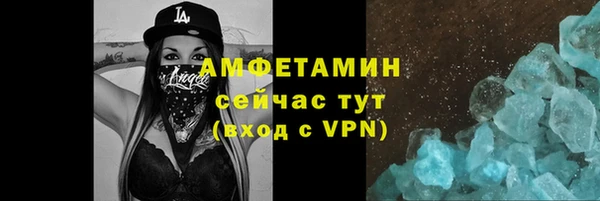 хмурый Верея