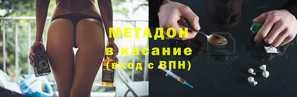 прущие грибы Верхний Тагил