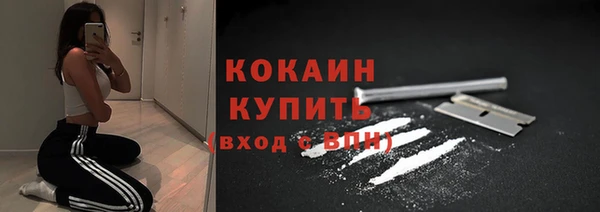 прущий лед Бородино