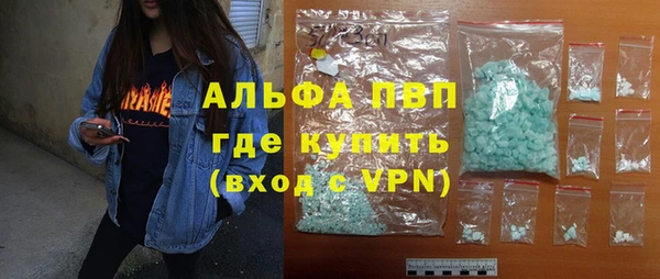прущие грибы Верхний Тагил