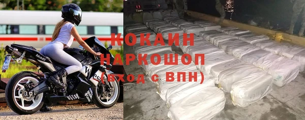 прущие грибы Верхний Тагил