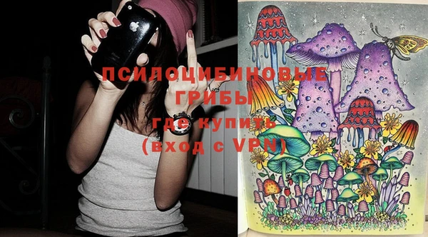 хмурый Верея