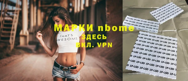 прущие грибы Верхний Тагил