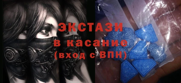 хмурый Верея