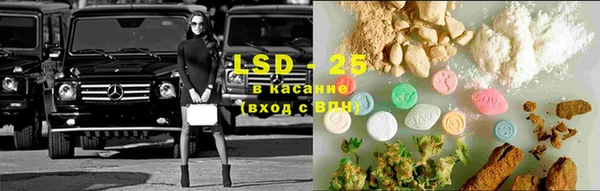 прущие грибы Верхнеуральск